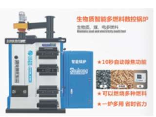 <b>智能多燃料环保数控锅炉</b>